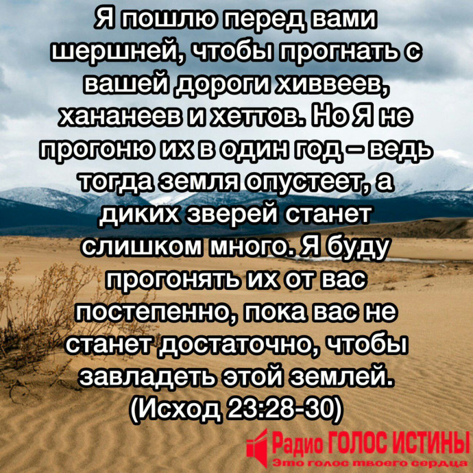 ​#Стих_Дня